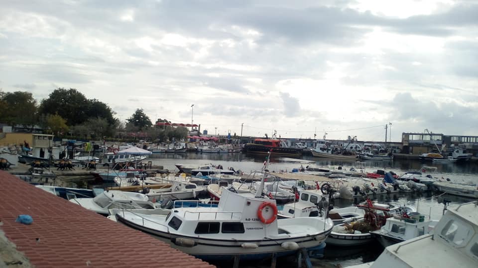 Balıkçı Barınağı
